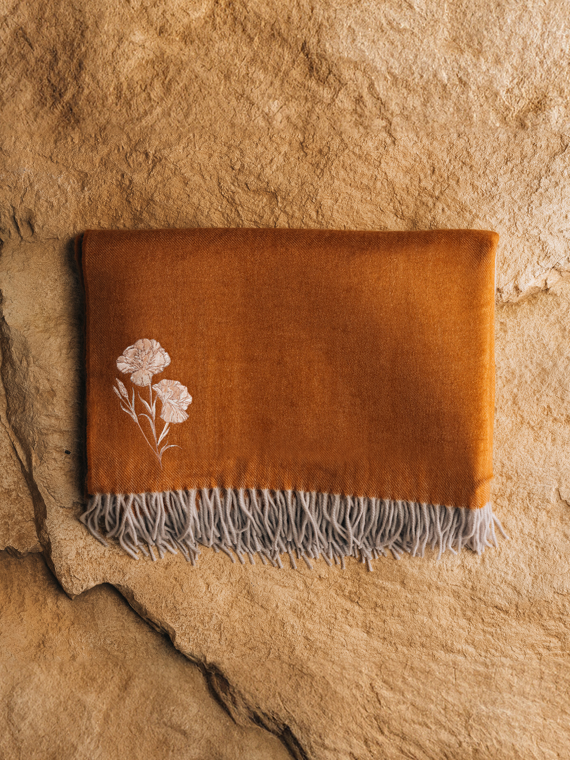 Ombre Blanket