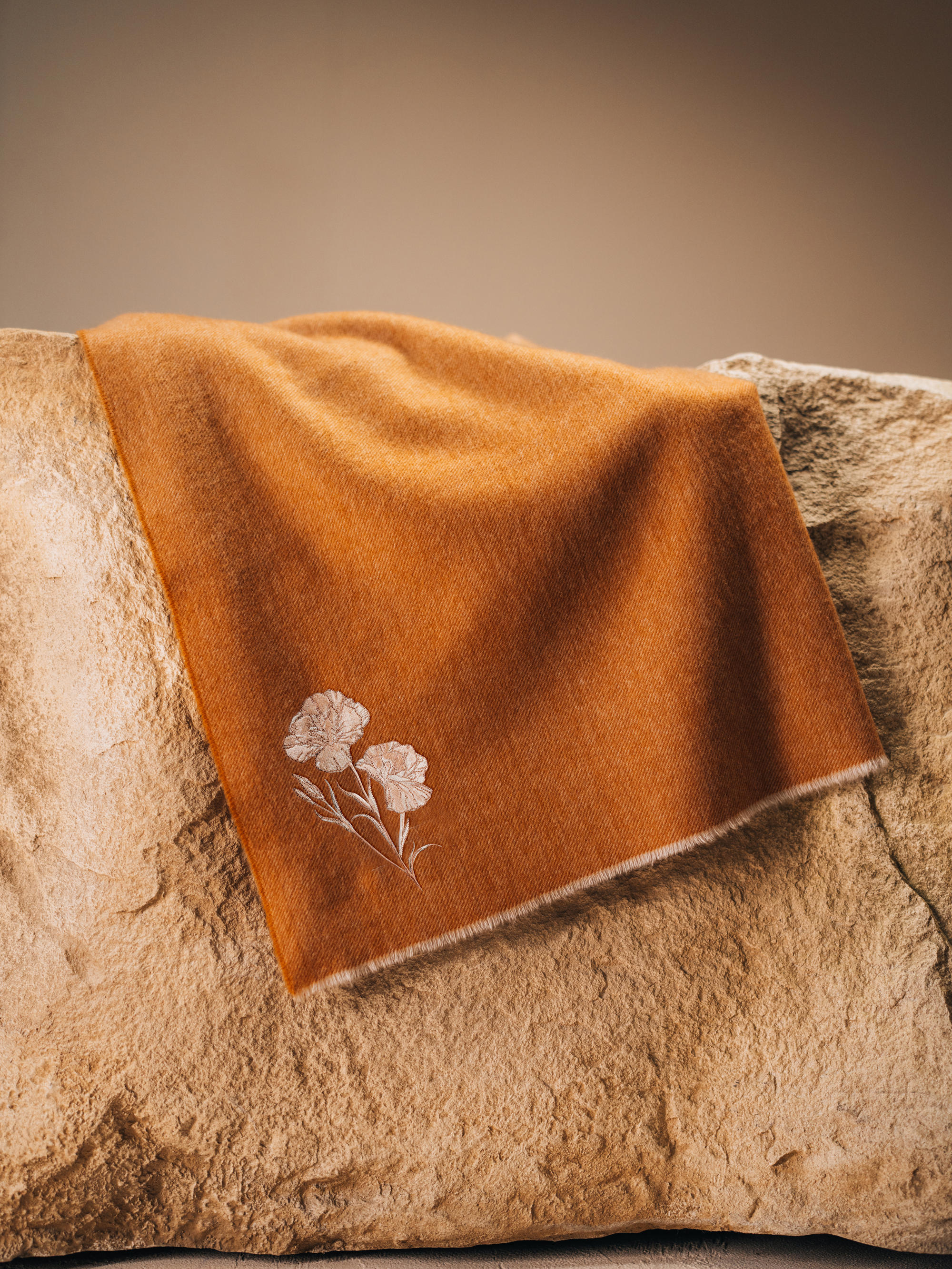 Ombre Blanket