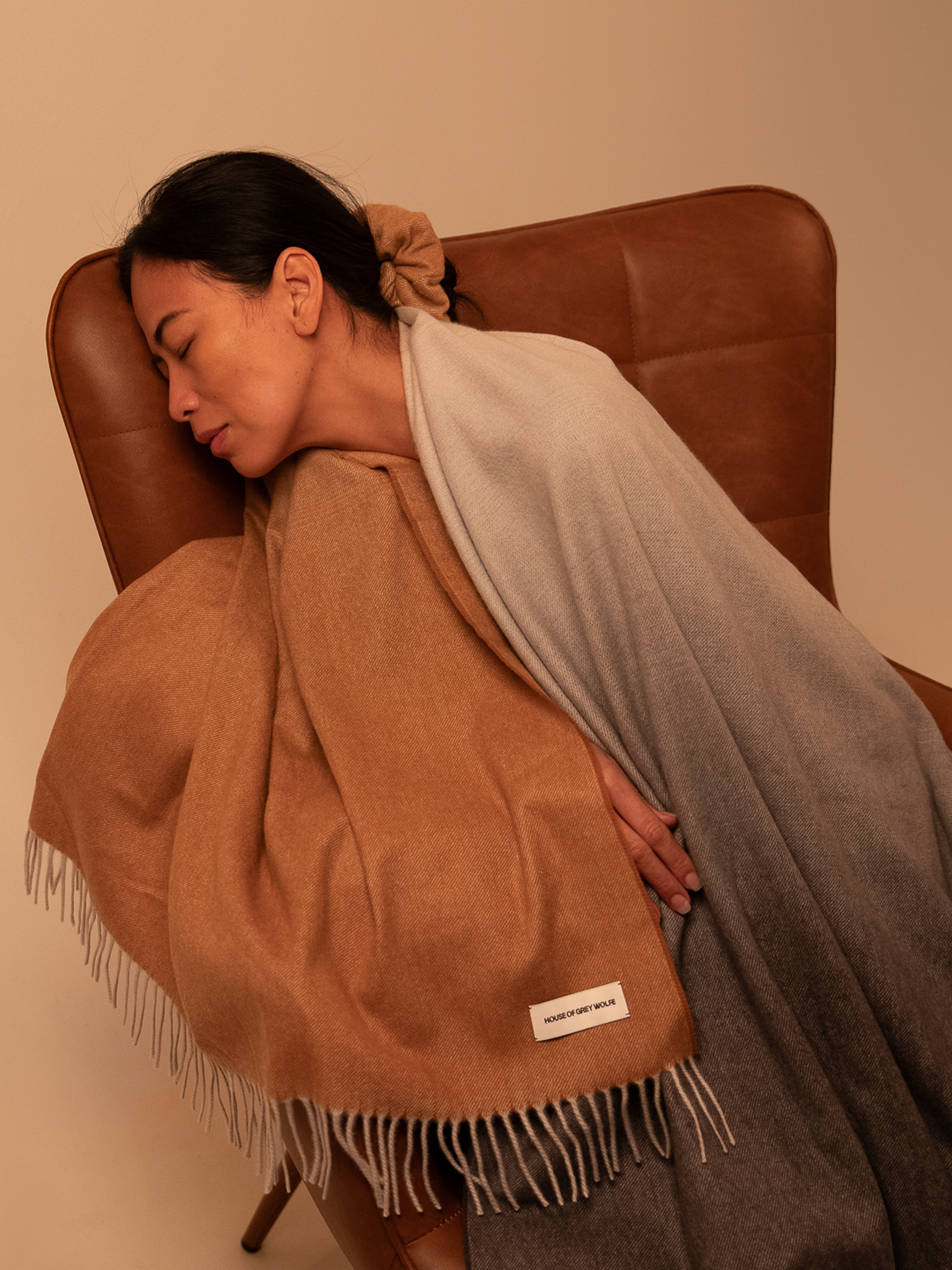 Ombre Blanket